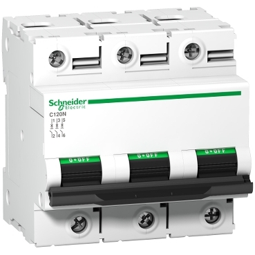 Schneider Breaker C120N - Miniature circuit breaker (MCB), Acti9 C120N, 2P, 100A, B curve, 10000A (IEC/EN 60898-1), 10kA (IEC/EN 60947-2)