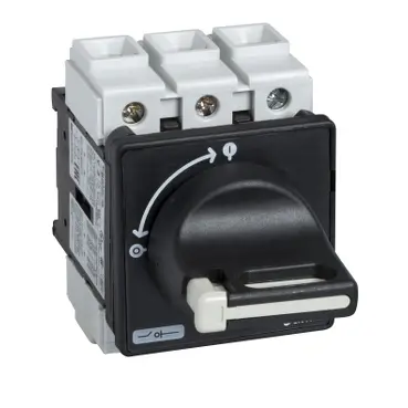 Schneider TeSys Vario - switch disconnector - 25 A - on door