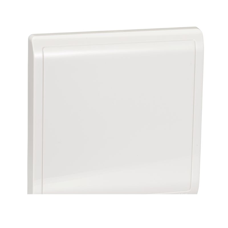 Schneider Switch Pieno_ Pieno - 1 gang blank plate_ [E8230X]