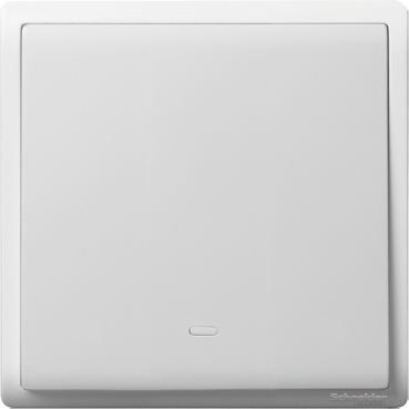 Schneider Switch Pieno_ 20A-16AX 250V 1 Gang 1 way switch_ [E8231L1F20]