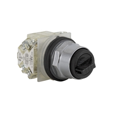 Schneider Signaling Schneider Legacy Products_ SELECTOR SWITCH 600VAC 10A 30MM T-K_ [9001KS43BH2]
