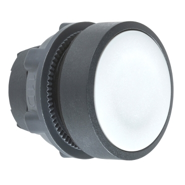 Schneider Signaling Harmony XB5_ grey flush pushbutton head Ø22 spring return unmarked_ [ZB5AA8]