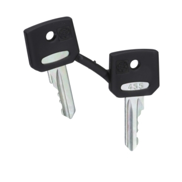 Schneider Signaling Harmony XB4_ set of 2 keys 455_ [ZBG455]