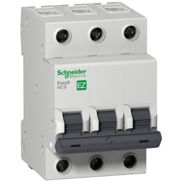 [EZ9F56306] Schneider Electric MCB Easy9 _[EZ9F56306]